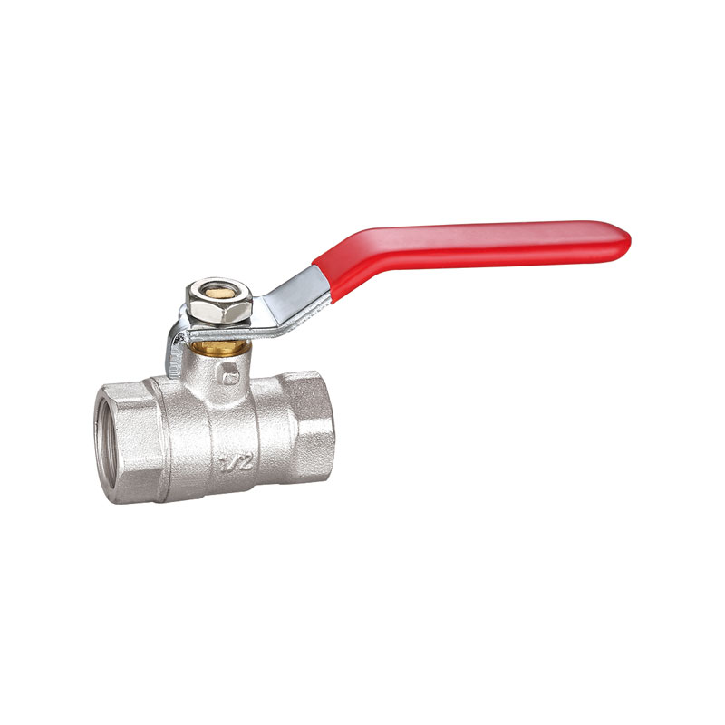 Loại kinh tế nữ van bi tay dài nữ AMT-2033