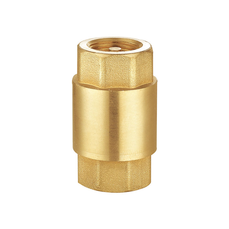 Van một chiều đa năng bằng đồng thau lõi nhựa AMT-8001