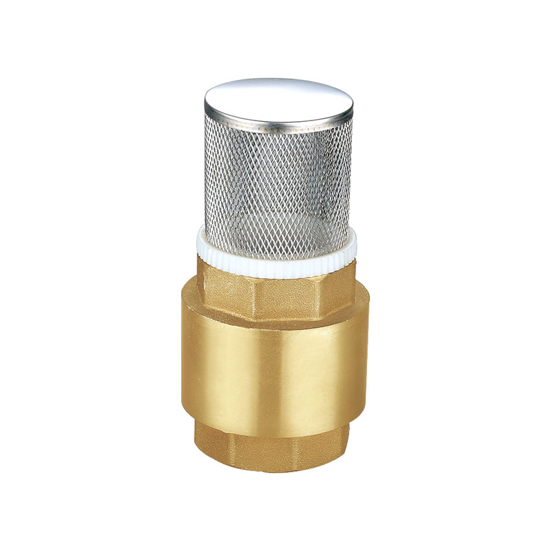 Van một chiều đa năng bằng đồng thau có bộ lọc AMT-8002