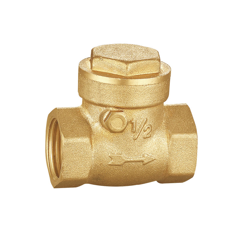 Van một chiều xoay áp suất cao AMT-8005