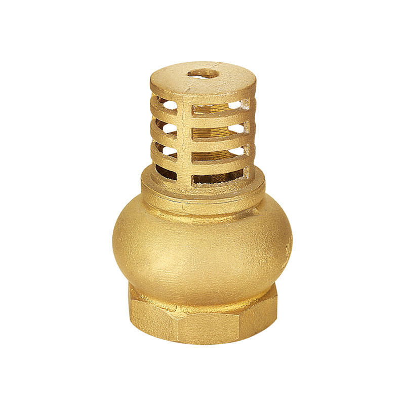 Van một chiều bằng đồng thau tùy chỉnh Van chân van AMT-8009