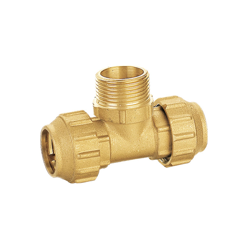 Đồng thau đẩy phù hợp nữ bằng tee phù hợp AMT-1609